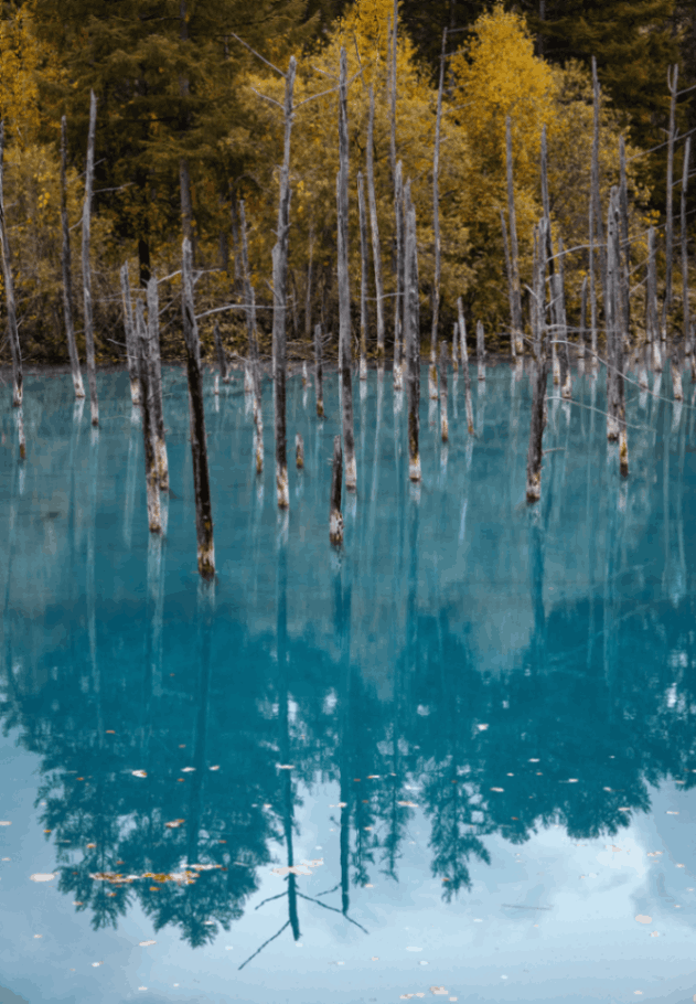 Blue Pond 